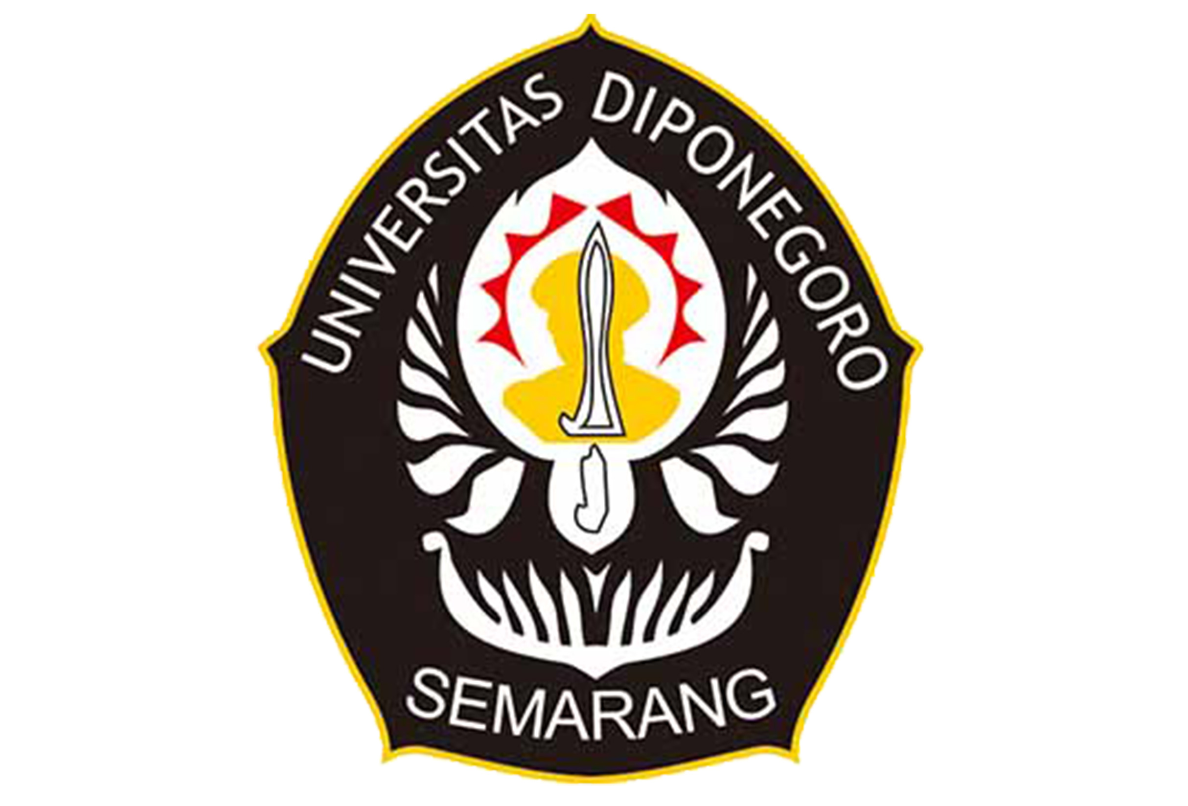 undip